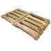 Bontoy Dog Bone - 10 Pieces x 21 cm | Natural Beef Skin Treat | Protein-Rich Chew for Strong Dog Muscles - Buy Online on SooperMarket.com