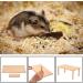 NAUZE Wooden Hamster Platform Toy Hamster Stand Platforms Perches for Small Animals Natural Toys Cage Accessories for Mouse Gerbil Rat Chinchilla - Buy Online on SooperMarket.com
