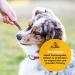Hey Pets Puppy Sticks - Natural Grain-Free Chewing Bones for Small Dogs & Puppies | 100% Premium Cattle | 500g Dental Care Treats | International Shipping - Buy Online on SooperMarket.com