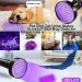 LGUIY UV Torch Flashlight UV Light 100 LEDs Torch Black Light 395nm Ultraviolet Flashlight Blacklight with Goggle for Pet Dog Cat Stains Scorpion Currency Bed Bug Detector - Buy Online on SooperMarket.com