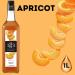 1883 Maison Routin France Syrup Pick N Mix - Choose From 100+ Flavours for Coffee Hot Chocolate Mocktails Iced Tea Cocktails Desserts Milkshakes - Pack of 6 x 1Ltr - Buy Online on SooperMarket.com