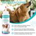 Kurchugo Dog Ear Cleaner Ear wash for Dogs & Cats Dog Ear Powder for Hair Removal Pet Ear Infection Treatment Effectively Removes Debris Waxy Buildup and Ear Odor Soothes Itchy & Inflamed Ears - Buy Online on SooperMarket.com