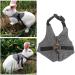 Rabbit Harness Multipurpose Adjustable Soft Pet Rabbit Walking Harness Leash Lead Gentlemanly Style Bunny Vest for Small Animal (M) - Buy Online on SooperMarket.com