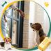 Vercanmonth 2-Piece Brass Pet Training Clicker Set - Metal Dog & Cat Clickers for Puppy Training | Gold - Buy Online on SooperMarket.com
