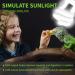 Caldarax 10.0 UVA UVB Bulb - 13W Compact Light for Desert Reptiles | E27 Tortoise Reptile Light for Lizard, Turtle, Snake, Chameleon, Bearded Dragon - Buy Online on SooperMarket.com