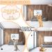 Hysagtek Cat Feather Toys Set - Interactive Kitten Toys Kit with 6 Feather Refills, 2 Retractable Teaser Wands, and Super Suction Cup Base - 9Pcs - Buy Online on SooperMarket.com