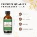 EUQEE Forest Pine Fragrance Oil 60ml - Premium Grade Aromatherapy Essential Oil for Diffusers and DIY Candle Making - Buy Online on SooperMarket.com