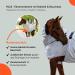 RL24 Eczema Ceiling for Horses - Silver Gray | Insect Protection Fine-Meshed Tissue Double Front Closure & Leg Cords | 115cm Outdoor Ceiling - Buy Online on SooperMarket.com