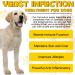 Natural Yeast Infection Drops for Dogs - Itch, Ear Infection, Allergy Relief - Herbal Bacon Flavor - 2 Fl Oz - Buy Online on SooperMarket.com