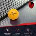 T2Spin Premium Ping Pong Gear - Table Tennis Set with 12 Balls | Ping Pong Accessories & Equipment - Buy Online on SooperMarket.com