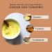 Ginger Turmeric Tea Organic 100g (50 Cups) | Intense Flavour 98% Ginger 1% Turmeric and Cardamom REPLANTEA - Buy Online on SooperMarket.com