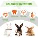 Fanshiontide 19 in 1 Bunny Chew Toys for Teeth - Rabbit Treats and Toys for Teeth - Timothy Hay Sticks, Loofah, Wood, Grass, Carrots, Corn - Ideal for Rabbit, Guinea Pig, Hamster, Chinchilla - Buy Online on SooperMarket.com