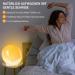 Buy Togaga Light Alarm Clock - Sunrise Sunset Simulation Dual Alarms 11 Colors & 7 Natural Sounds - Perfect Bedside Lamp for Adults - Buy Online on SooperMarket.com