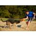 Chuckit! Rugged Flyer Dog Toy - Durable Frisbee for Throw, Fetch, and Tug of War - Buy Online on SooperMarket.com