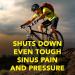 Advil Sinus Congestion & Pain Coated Tablets 20 ea - Pack of 2 - Fast Relief - Buy Online on SooperMarket.com