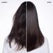Olaplex Intense Set (No. 3 & 0) - Best Hair Repair Treatment | International Shipping Available - Buy Online on SooperMarket.com