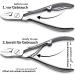 Marqus Nail Set for Men and Women - 5-Piece Manicure Set from Solingen - Travel-Friendly Nail Care Accessories - Buy Online on SooperMarket.com
