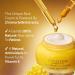 L'OCCITANE Immortelle Divine Cream 50 ml | Vegan & 93% Readily Biodegradable | Natural Alternative to Retinol | Luxury & Clean Beauty Anti-Ageing Moisturizer For All Skin Types - Buy Online on SooperMarket.com
