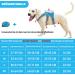 Buy Belpro Multi-Purpose Dog Harness - No Pull Reflective Adjustable Vest for Large Dogs - Durable Handle & Dog Dishes - Ideal for Active Dogs (Blue M) - Buy Online on SooperMarket.com
