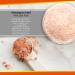 Buy Himalayan Pink Salt Ceramic Inhaler | Natural Rose Facial Tissue - 1.9 Lbs for Healthy Breathing - Buy Online on SooperMarket.com