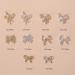 Shop SANWOOD 10pcs Nail Ornament Set - DIY Jewelry Glitter Varnish for Stunning Nail Art Accessories - Buy Online on SooperMarket.com