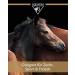 Equistro Haemolytan 400 - Vitality Support Supplement for Horses | Enhance Performance | 250ml - Buy Online on SooperMarket.com