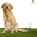 SunGrow Heavy-Duty Steel Dog Tie-Out Cable and Stake Spiral Ground Anchor Spike with 360 Rotating Ring Dog Tether Travel Accessories Outdoor Yard Camping Accessories for Dogs up to 80 Pounds - Buy Online on SooperMarket.com