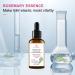 Pure Rosemary Oil for Hair Growth - 30ml Essential Oil Against Hair Loss | Premium Quality Bio-Rosmarin Oil - Buy Online on SooperMarket.com