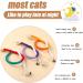 YANGCHUN Catnip Toy Bundle: Interactive Chew Rope for Indoor Cats - Natural Catnip Fillings, Teeth Cleaning and Stress Relief - 3 Pcs - Buy Online on SooperMarket.com