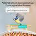 Birdfy Bird Feeder with Camera - AI Detection Video Recording & Solar Powered - Ideal for Wild Bird Feeding - Buy Online on SooperMarket.com