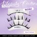 Magnetic Eyelashes with Applicator - No Glue Reusable Lightweight & Soft | 2 Pairs of Wispy Styles by Wendy Lashes (KS02/XM1 - Buy Online on SooperMarket.com