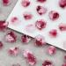 50Pcs 3D Flower Nail Multi Colors Variety Mix Camellia Flower Cute Nail Art For Manicure DIY Craft Jewelry 3d Nail For Acrylic Nails
