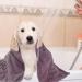 Kinhwa Super Absorbent Microfiber Pet Towel for Dogs & Cats | 2 Pack (50x90cm) - Gray & Violet | Ultimate Dog Bath Towel for Fast Drying - Buy Online on SooperMarket.com