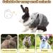 Adjustable Rabbit Dishes & Leash for Dwarf Rabbits | Soft Pet Bowls for Rabbits Cats & Small Dogs - International Shipping - Buy Online on SooperMarket.com