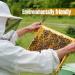 2 LB White Pure Beeswax Pellets - Triple Filtered for Skin, Hair, and DIY Care - Candle and Soap Making Supplies - Buy Online on SooperMarket.com