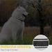 Heele Soft Padded Neoprene Dog Collar for Small & Medium Dogs | Adjustable Reflective Training Collar - Orange Longitudinal 34-52 cm (1 Pack) - Buy Online on SooperMarket.com