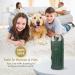 ASSCA Anti Barking Device Ultrasonic Dog Deterrent Anti Dog Barking Deterrent Devices with 3-in-1 Charging and Safe for People and Pets Mini Ultrasonic Dog Repeller is Suitable for Most Dogs Green - Buy Online on SooperMarket.com