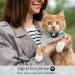Apple AirTag Cat Neck Band - Light Tracker for Kittens & Puppies (7-9 inch) - Blue | International Shipping - Buy Online on SooperMarket.com