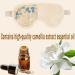 Camellia Cooling Gel Eye Mask Set - Reusable Cold/Hot Compress for Puffiness, Migraine, Dark Circles - 4 PCS - Buy Online on SooperMarket.com