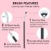 4PCS Mascara Fan Brush Set - Enhance Lower Lashes & Natural Lifted Effects | Smooth Apply No Clumping | Best Synthetic Fibre Lash Wand - Buy Online on SooperMarket.com