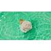 Sustainable Exfoliating Loofa Pouf 3-Pack - Extra Firm Bath and Shower Puff for Daily Skincare - Reusable for Women & Men | Cleanlogic - Buy Online on SooperMarket.com