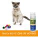 FlexiCat Gel - Cat Joint Supplement - Formulated By Vets - Extra Glucosamine - Cat Hip and Joint Care - 100ml - Buy Online on SooperMarket.com
