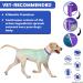 Flea Collar for Dogs 2-Pack Purple | 8 Months Protection | Prevent, Control, & Treat Fleas and Ticks | Adjustable 25 Inch | Free Comb Included - Buy Online on SooperMarket.com