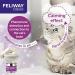 Feliway Classic 20 ml Spray with Classic 30 Day Starter Kit - Diffuser and Refill 48 ml - Buy Online on SooperMarket.com