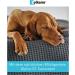 Buy Zylkene 450mg for Dogs & Cats - 50 Capsules | Calming Supplement for Stress Relief - International Shipping Available - Buy Online on SooperMarket.com