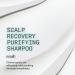 Nioxin Scalp Recovery Anti-Dandruff System Kit Shampoo - 6.7 fl oz | International Shipping Available - Buy Online on SooperMarket.com