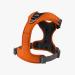 DOG Copenhagen V2 Comfort Walk Pro Dog Harness - Orange Sun - Size S | Premium Safety & Comfort for Your Pet - Buy Online on SooperMarket.com