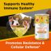 Organic Veda Turmeric Golden Super Milk Latte Mix - USDA Certified, High Curcumin & Ayurvedic Herbs for Energy, Focus & Immune Support - 8 oz - Buy Online on SooperMarket.com