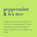 Organic Plant-Based Peppermint & Tea Tree Hand Soap 12oz (Pack of 3) | Gentle Cleanser with Pure Essential Oils - Buy Online on SooperMarket.com