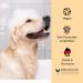 Belly Golden Oat Dog Shampoo 250ml | Sensitive Formula for Itching & Odor | Optimal Care for All Dog Breeds with Oat Protein & Shea Butter - Buy Online on SooperMarket.com